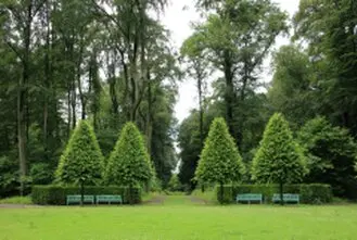 Tala y poda en altura Burgos Arboricultura Talamos y podamos en altura Burgos Arboricultura